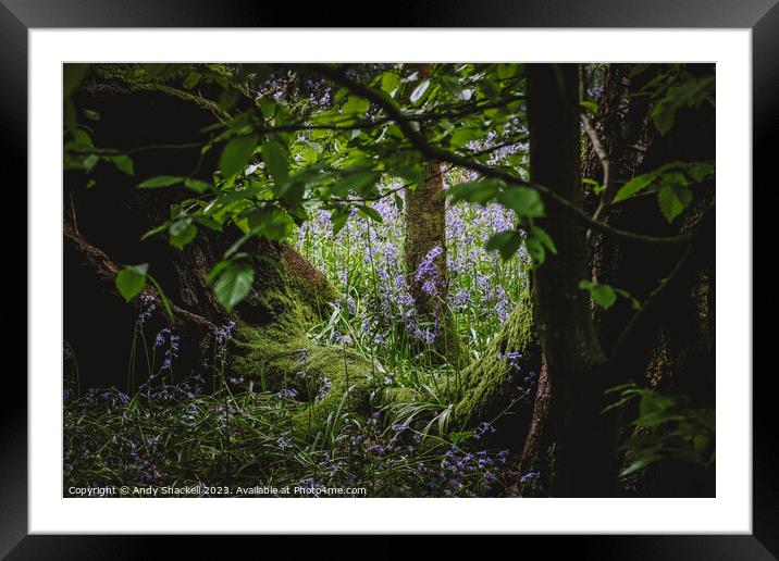 Faerie Glade Framed Mounted Print by Andy Shackell