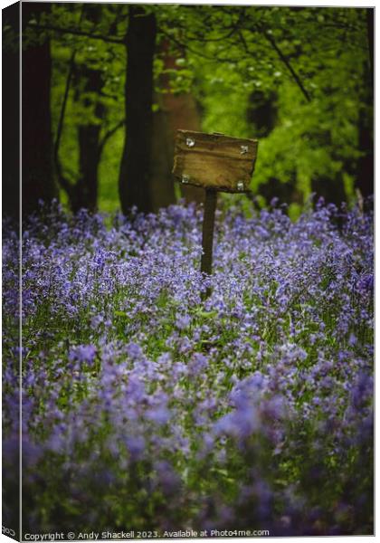 Sign in the Bluebells Canvas Print by Andy Shackell