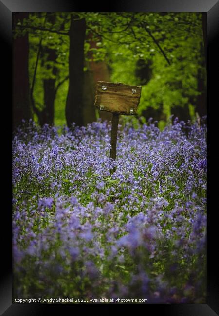Sign in the Bluebells Framed Print by Andy Shackell