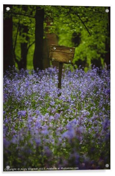 Sign in the Bluebells Acrylic by Andy Shackell