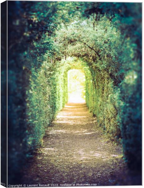 The green tunnel. Tunnel of trees leading to light Canvas Print by Laurent Renault