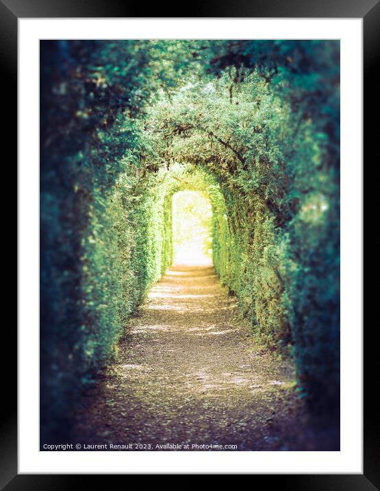The green tunnel. Tunnel of trees leading to light Framed Mounted Print by Laurent Renault