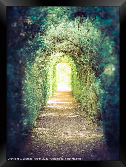 The green tunnel. Tunnel of trees leading to light Framed Print by Laurent Renault