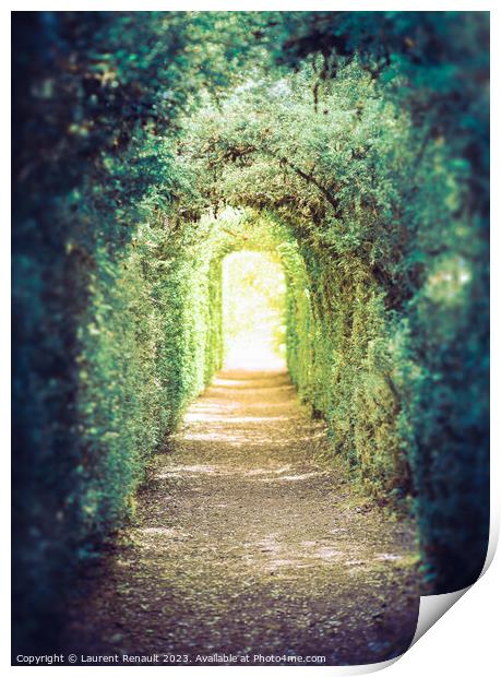 The green tunnel. Tunnel of trees leading to light Print by Laurent Renault