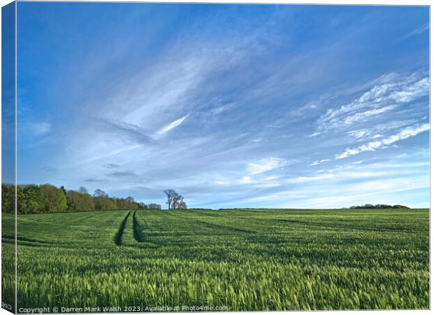 Field of Barley Canvas Print by Darren Mark Walsh