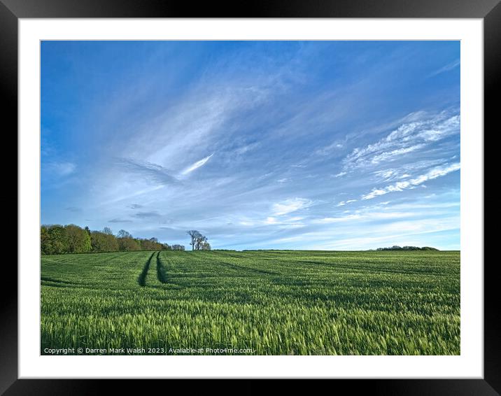 Field of Barley Framed Mounted Print by Darren Mark Walsh
