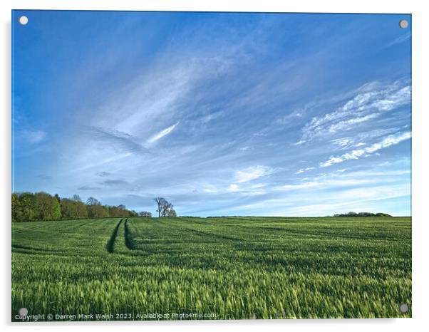 Field of Barley Acrylic by Darren Mark Walsh