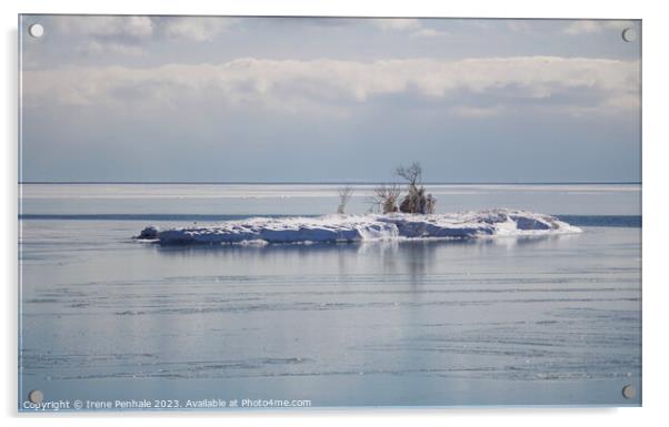 Serenity at Frozen Lake Acrylic by Irene Penhale