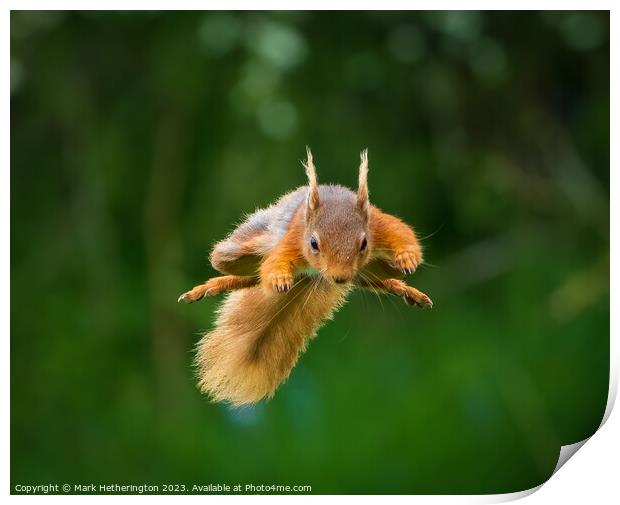 Squirrel To The Rescue Print by Mark Hetherington