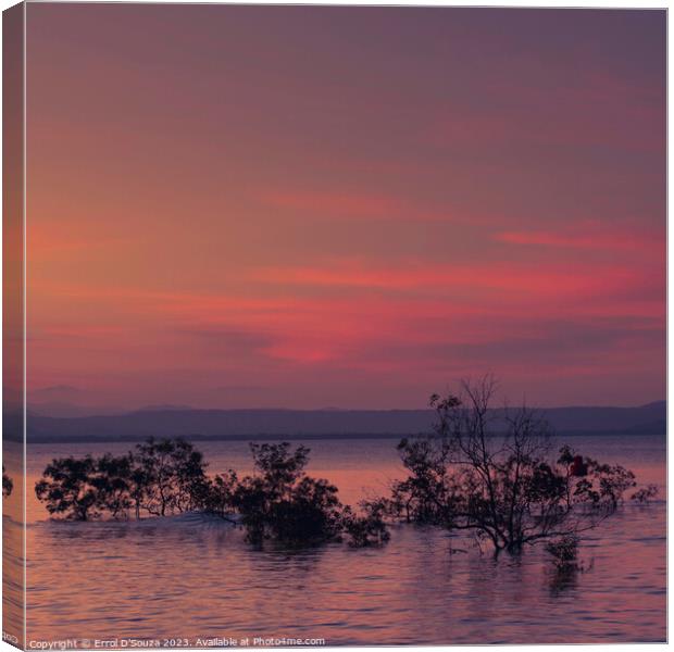 Four Mile Beach Port Douglas Sunset Canvas Print by Errol D'Souza