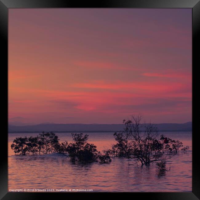 Four Mile Beach Port Douglas Sunset Framed Print by Errol D'Souza