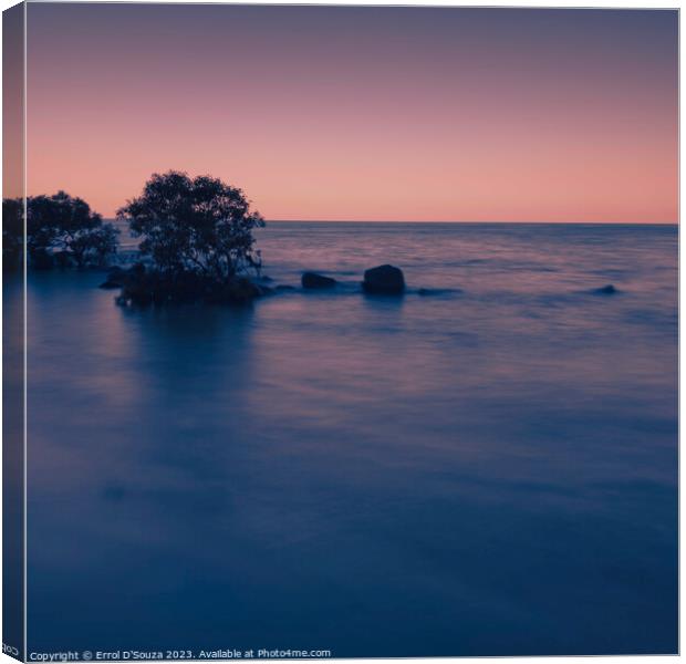 Four Mile Beach Port Douglas Sunset Canvas Print by Errol D'Souza