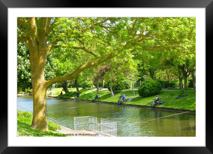 Hythe Military Canal  Framed Mounted Print by Antoinette B