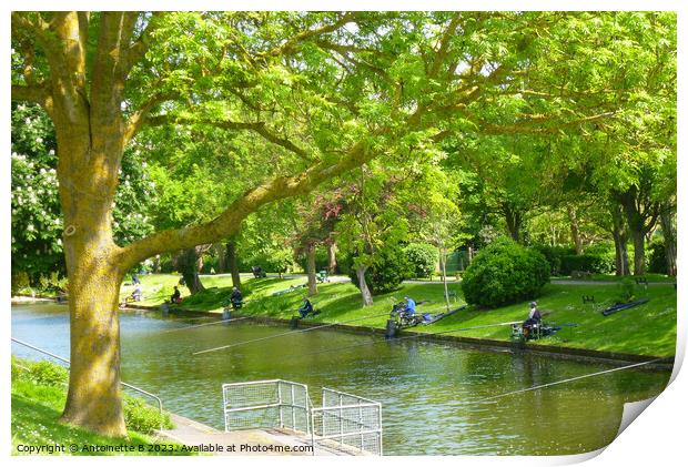 Hythe Military Canal  Print by Antoinette B