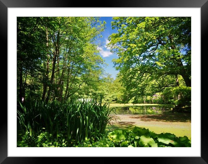 Lake in Woodland Framed Mounted Print by Victor Burnside