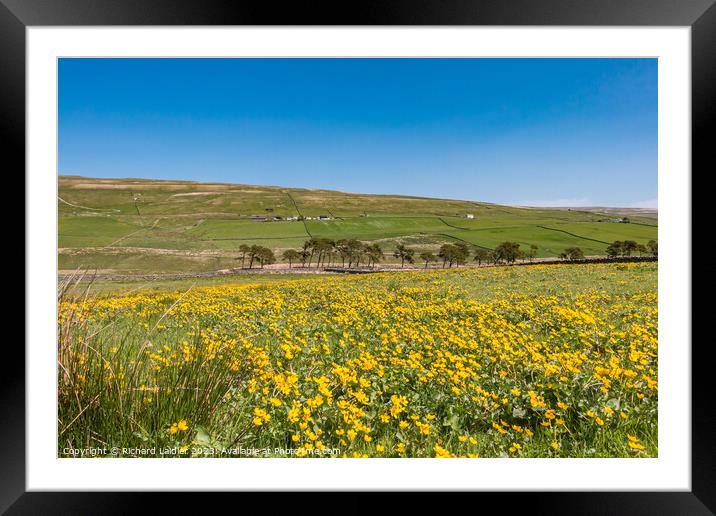 Spring Morning in Harwood Teesdale (5) Framed Mounted Print by Richard Laidler
