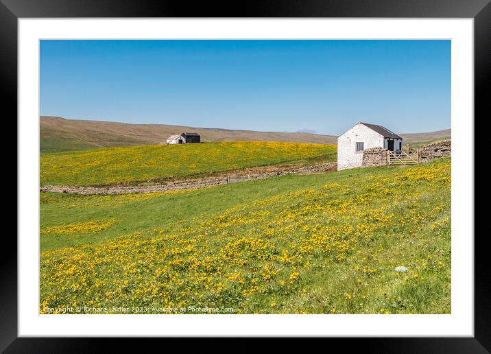 Spring Morning in Harwood Teesdale (4) Framed Mounted Print by Richard Laidler