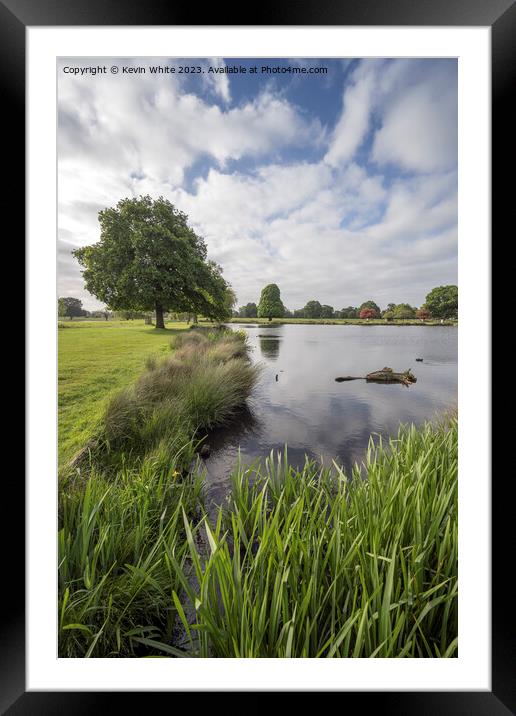 Upright view of Bushy Park pond near carpark Framed Mounted Print by Kevin White