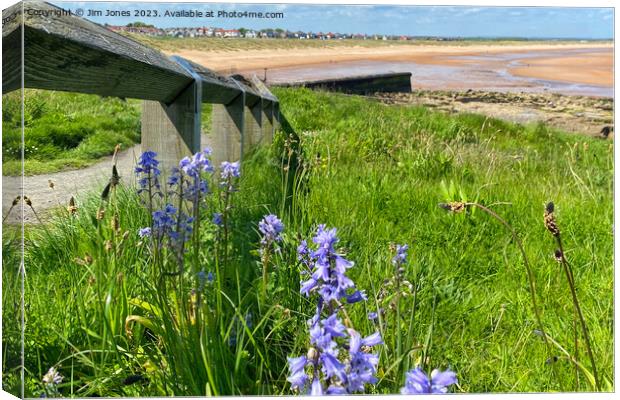 Wild Bluebells on the path to the beach Canvas Print by Jim Jones