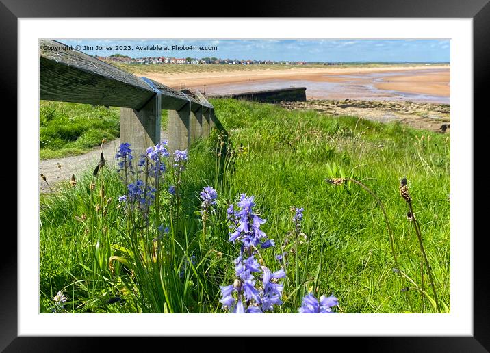 Wild Bluebells on the path to the beach Framed Mounted Print by Jim Jones