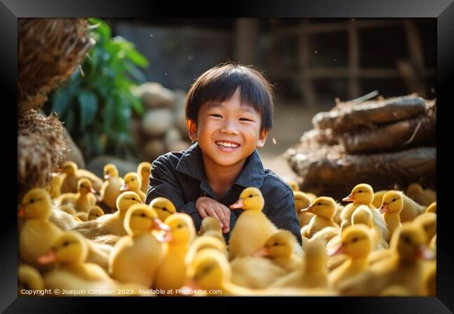 A happy boy on the farm collects the newly hatched chicks. Ai generated. Framed Print by Joaquin Corbalan