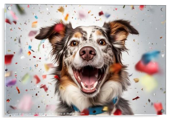 A dog full of joy surrounded by flying confetti. A Acrylic by Joaquin Corbalan