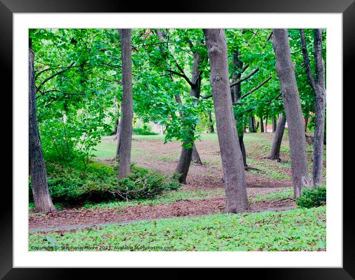 Trees Framed Mounted Print by Stephanie Moore