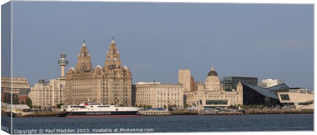 Swordfish flying along the River Mersey Canvas Print by Paul Madden