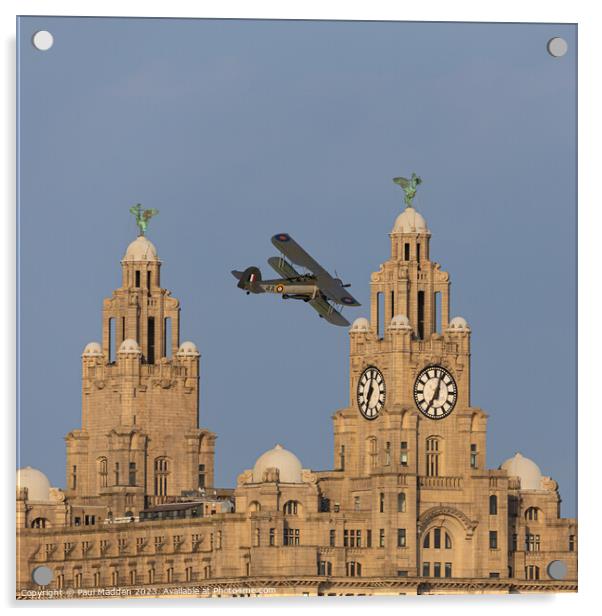 Swordfish flying past the Liver Building Acrylic by Paul Madden