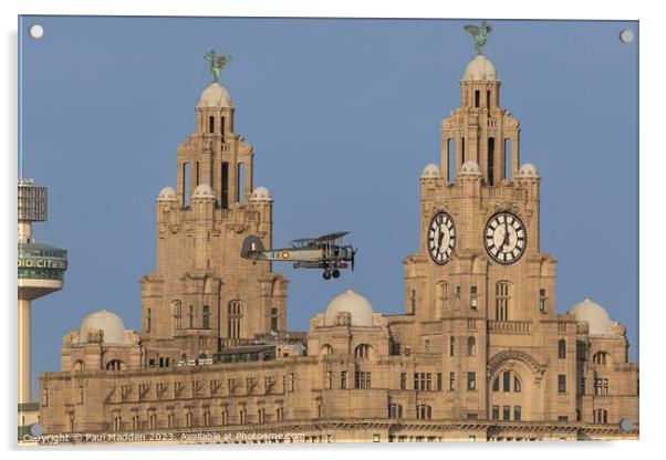 Swordfish past the Liver Building Acrylic by Paul Madden