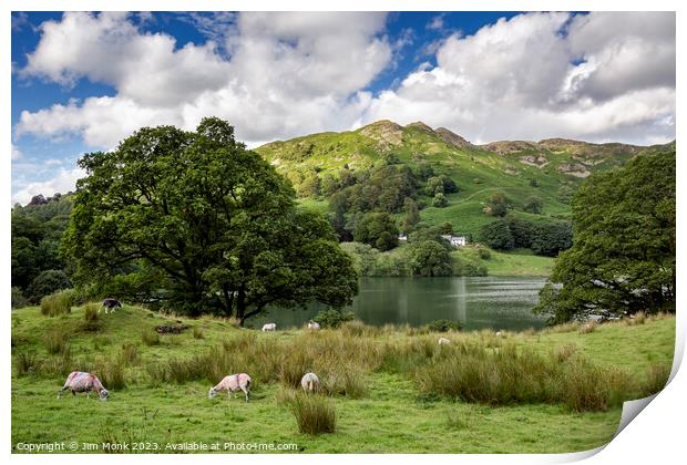 Loughrigg Tarn and Fell Print by Jim Monk