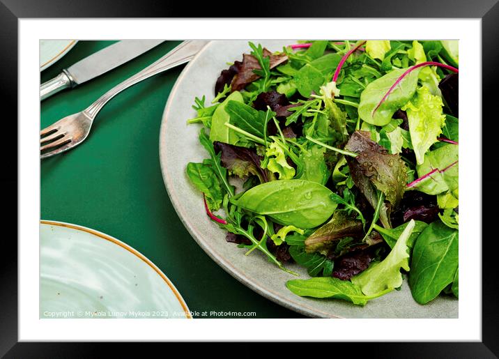 Greens vegetarian salad. Framed Mounted Print by Mykola Lunov Mykola