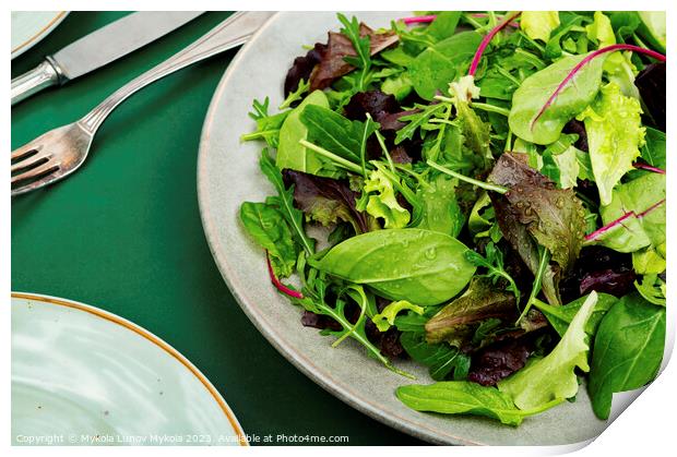Greens vegetarian salad. Print by Mykola Lunov Mykola