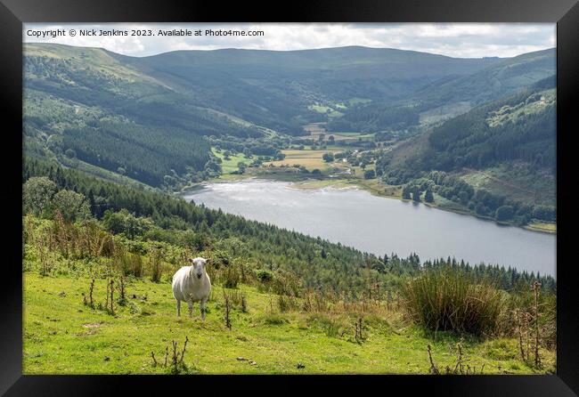 Talybont Valley Brecon Beacons National Park  Framed Print by Nick Jenkins