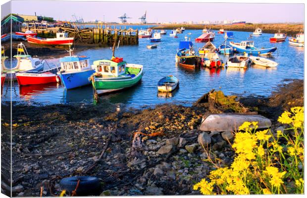 Paddy's Hole at South Gare Canvas Print by Tim Hill