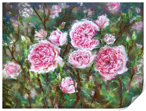 English Roses Print by Alexandra Lavizzari
