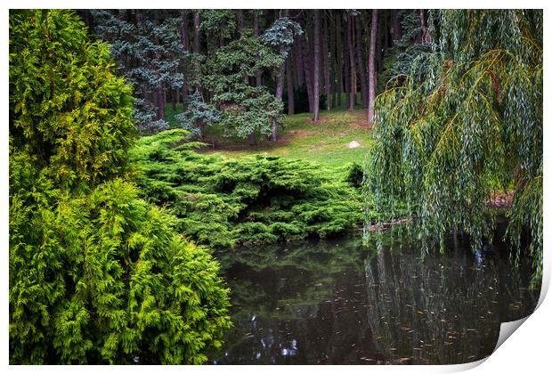 Skaryszewski Park Landscape In Warsaw Print by Artur Bogacki