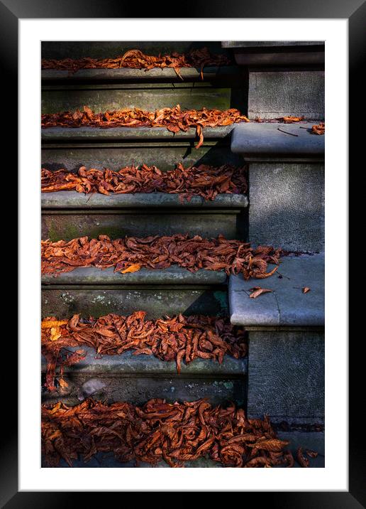 Vintage Stairs Covered With Fallen Autumn Leaves Framed Mounted Print by Artur Bogacki