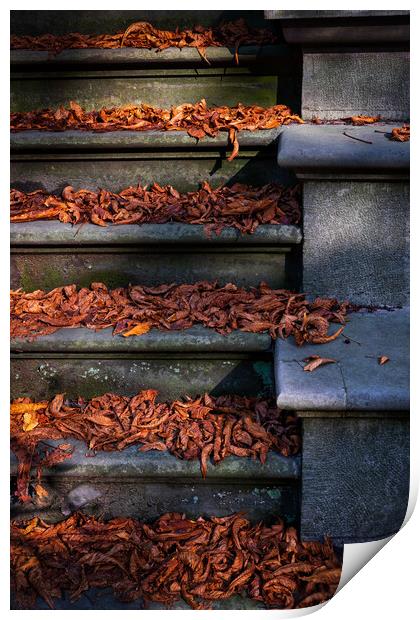 Vintage Stairs Covered With Fallen Autumn Leaves Print by Artur Bogacki