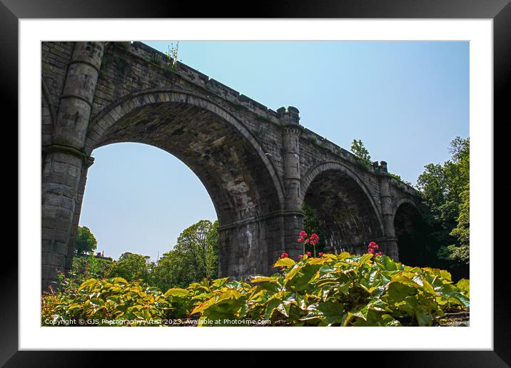 Knaresborough ViaDuct Over the Nidd Framed Mounted Print by GJS Photography Artist