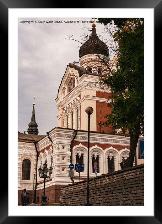 Aleksander Nevski Cathedral, Tallinn Framed Mounted Print by Sally Wallis