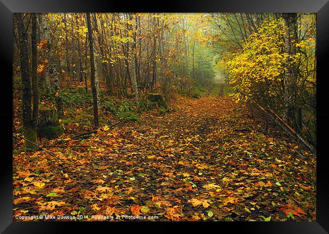 Autumn Lane Framed Print by Mike Dawson