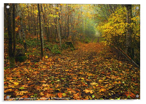 Autumn Lane Acrylic by Mike Dawson