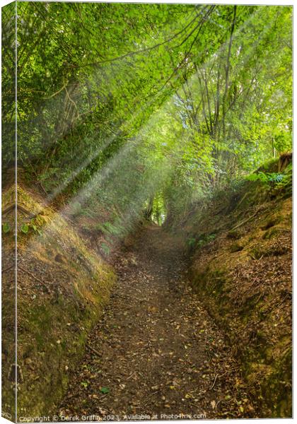 The long path Canvas Print by Derek Griffin