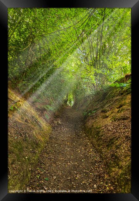 The long path Framed Print by Derek Griffin