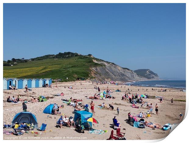 Coastal Gathering Print by Les Schofield