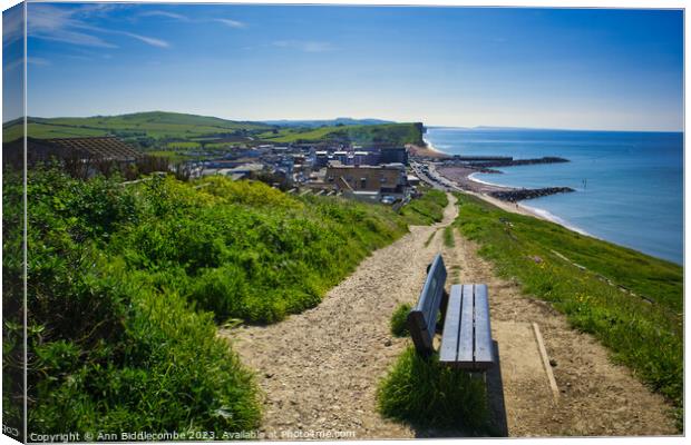 View of Westbay from the top of the hill Canvas Print by Ann Biddlecombe