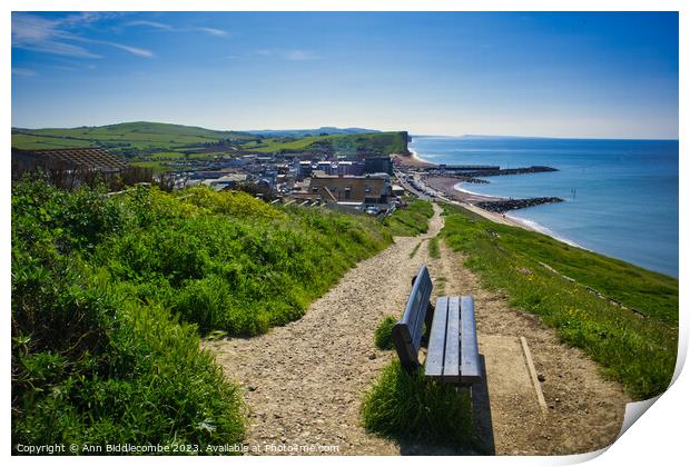 View of Westbay from the top of the hill Print by Ann Biddlecombe