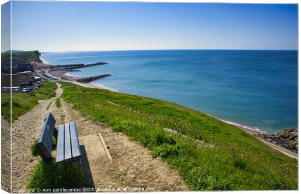 Bench with a view on the path to Westbay Canvas Print by Ann Biddlecombe
