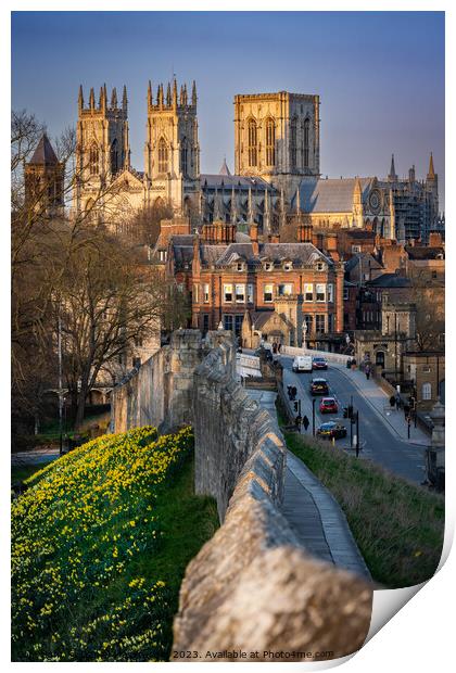 York Minster Print by Daniel James